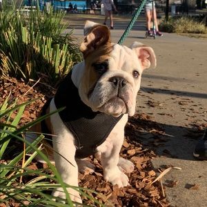 Meet your Posher, Lisa